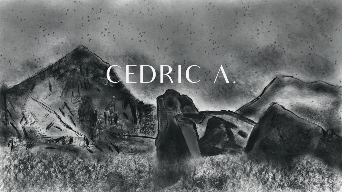 image d'illustration en noir et blanc mélant crayonné et peinture